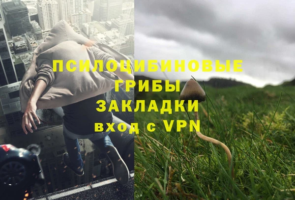 дурь Медвежьегорск