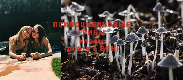 тгк Мегион