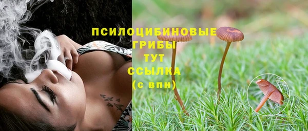 дурь Медвежьегорск