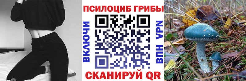 Купить где  Анапа  Псилоцибиновые грибы Psilocybine cubensis 